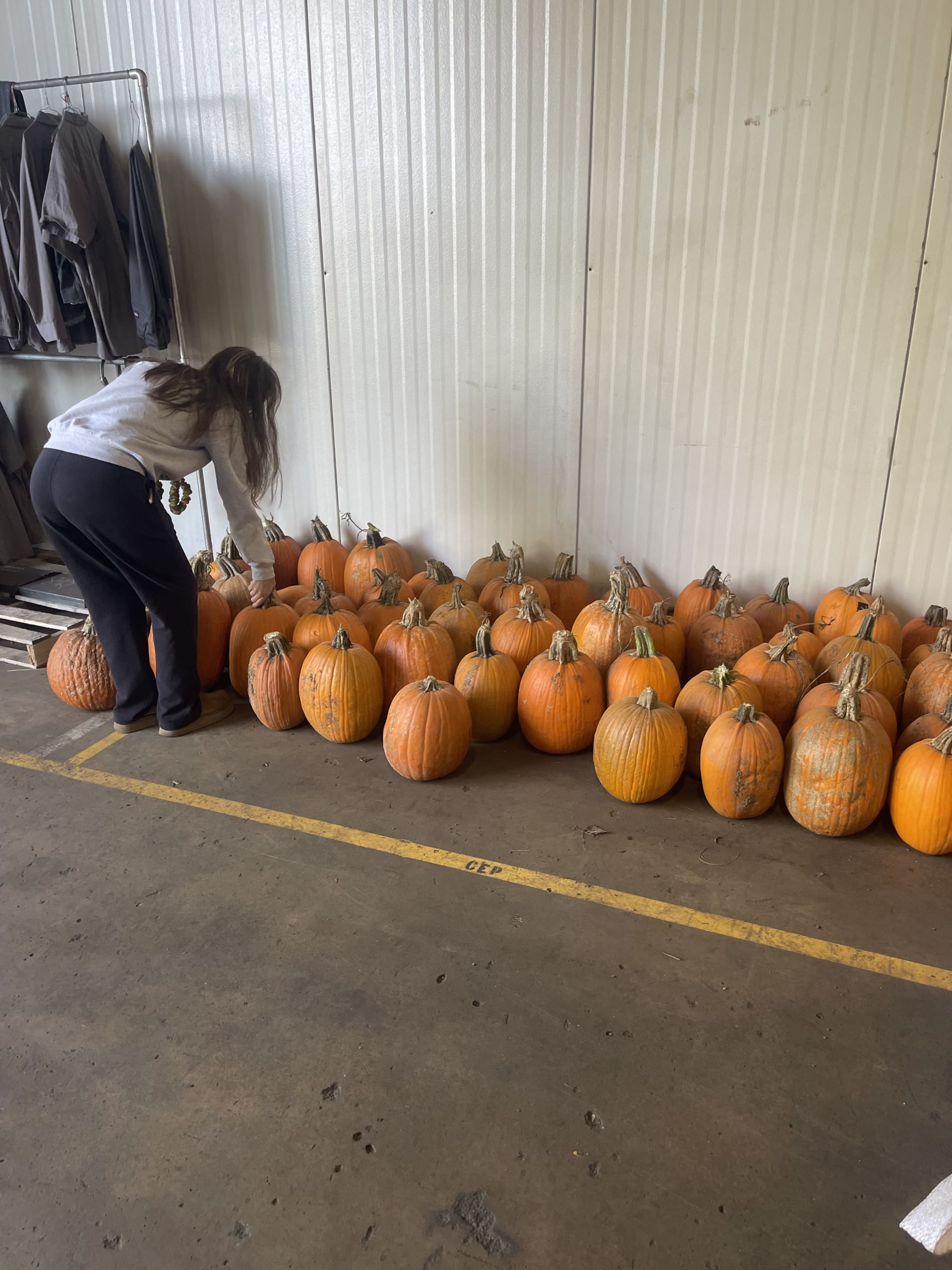 Karlotta at CraneWerks in Morristown, IN